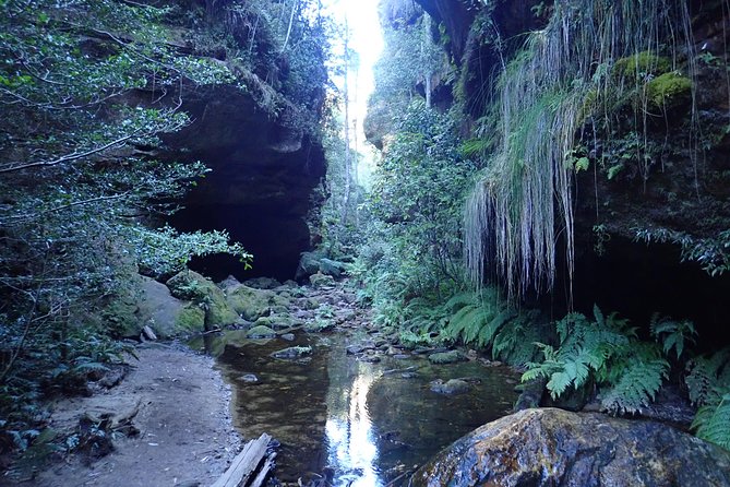 Juggler Canyon and Abseiling Adventure Blue Mountains - Tour Details and Itinerary