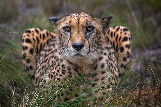 Jukani Wildlife Sanctuary Admission With Guided Tour - Additional Tour Information