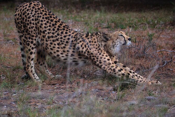 Jukani Wildlife Sanctuary Admission With Guided Tour - Booking Confirmation and Requirements