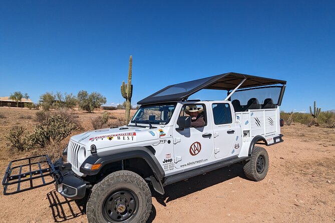 Jumping Cholla (Choya) Jeep Tour - Key Points