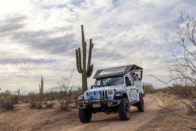 Jumping Cholla (Choya) Jeep Tour - Guest Reviews and Testimonials