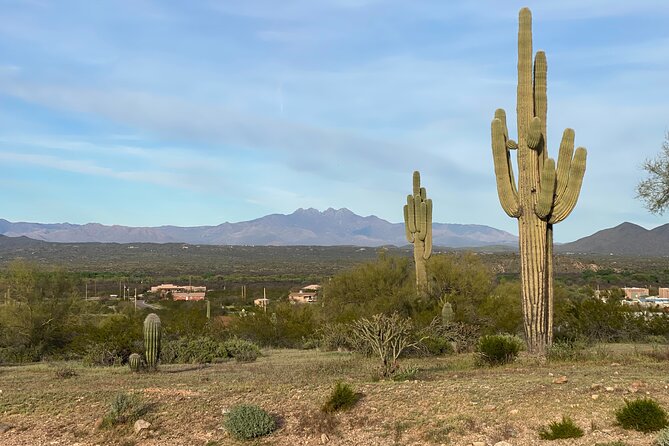 Jumping Cholla (Choya) Jeep Tour - Meeting Point and Pickup