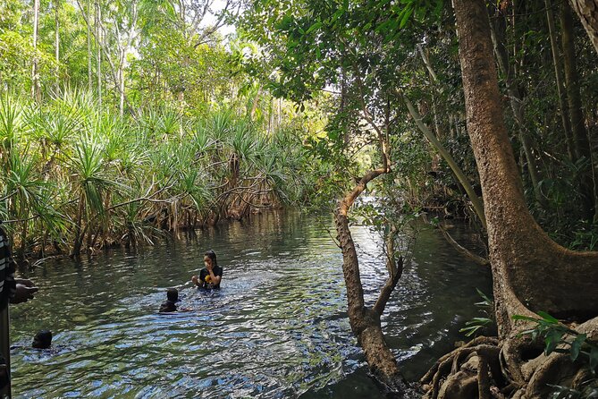 Jumping Croc Cruise, Berry Springs, Fogg Dam & Humpty Doo Pub - Inclusions