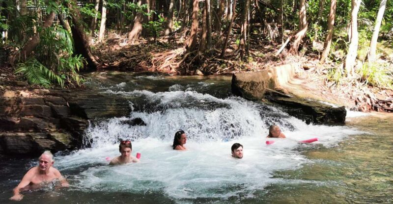 Jumping Croc Cruise, Berry Springs,Fogg Dam & Humpty Doo Pub - Pickup and Drop-off