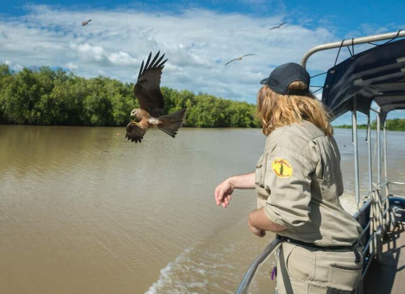 Jumping Crocodile Cruise from Darwin Half-Day Scenic Trip - The Sum Up