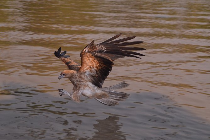 Jumping Crocodile Cruise With Lunch - Itinerary Details