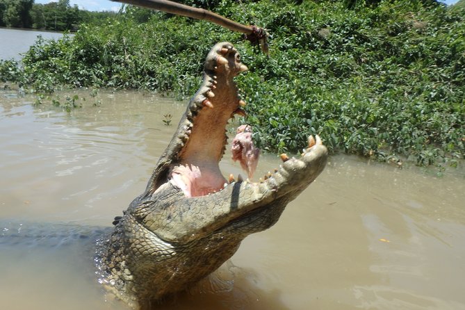 Jumping Crocodile Cruise With Lunch - Inclusions
