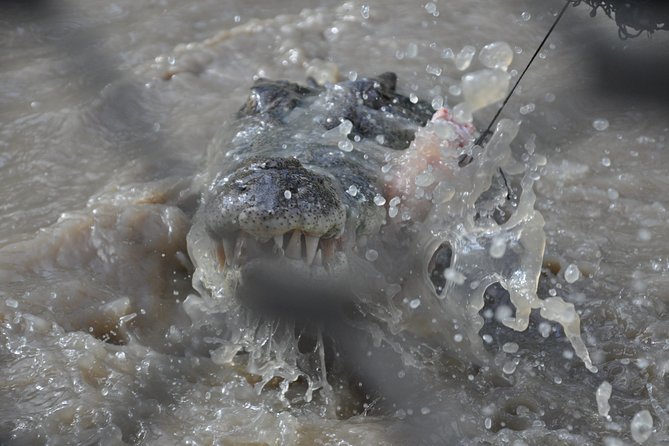 Jumping Crocodile Cruise With Lunch - Lunch Experience