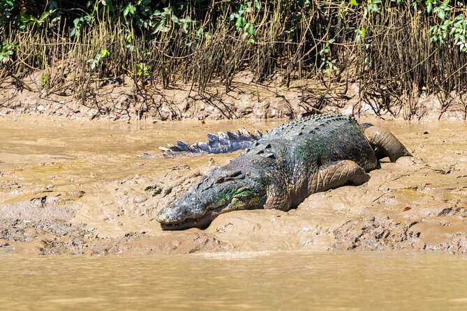 Jumping Crocodile Experience - Environmental Commitment