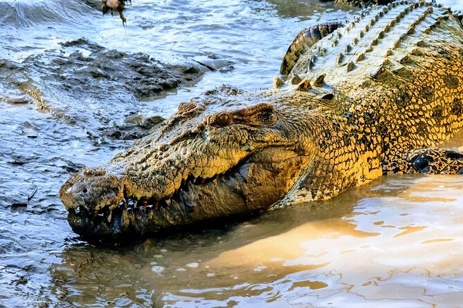Jumping Crocodile Experience - Meeting and End Points