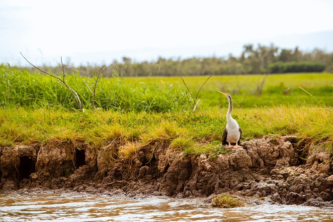 Jumping Crocs & Nature Adventure Cruise From Darwin - Accessibility and Participation