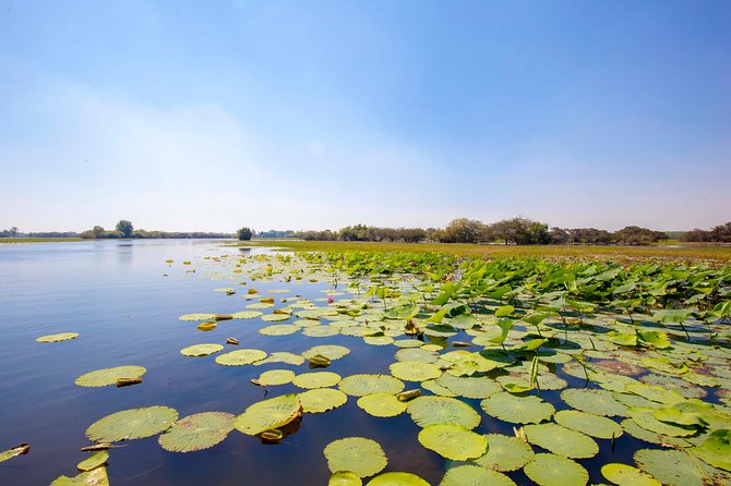 Jumping Crocs & Nature Adventure Cruise From Darwin - Guest Feedback and Ratings