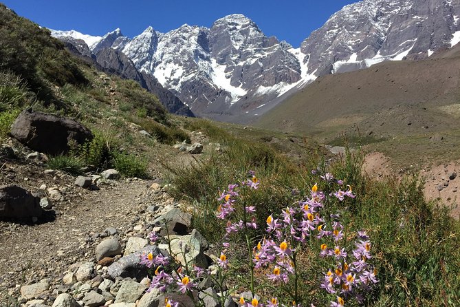 Juncal Andean Park: Hiking Over a Glacial Tongue - Guided Hike Details