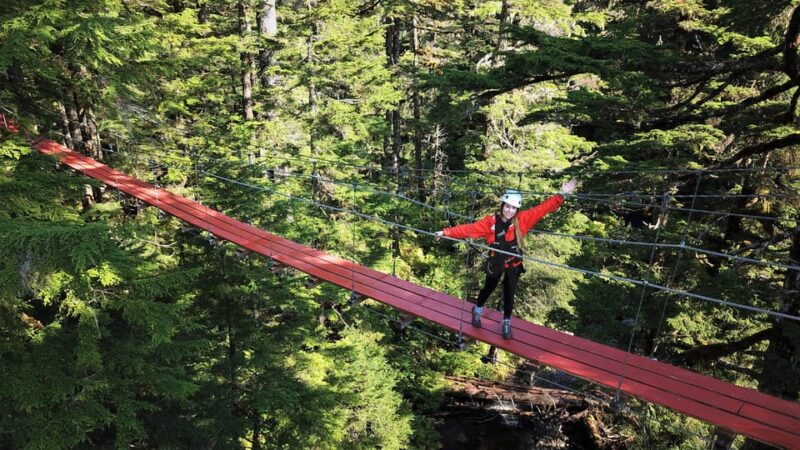 Juneau: Alpine Zipline Adventure - Experience Details