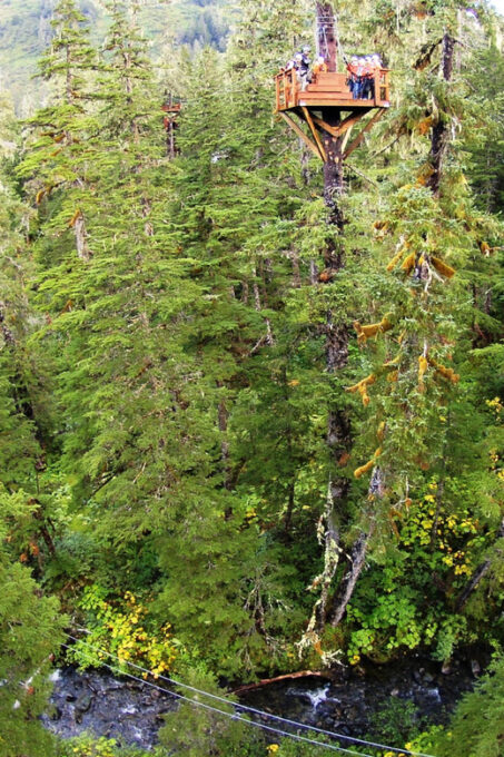 Juneau: Alpine Zipline Adventure - Safety and Precautions
