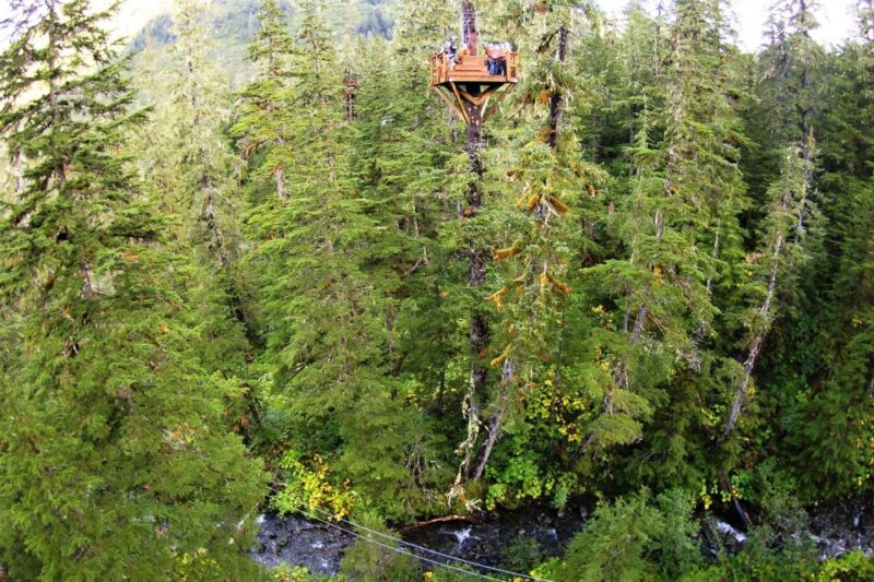 Juneau: Alpine Zipline Adventure - Itinerary and Experience
