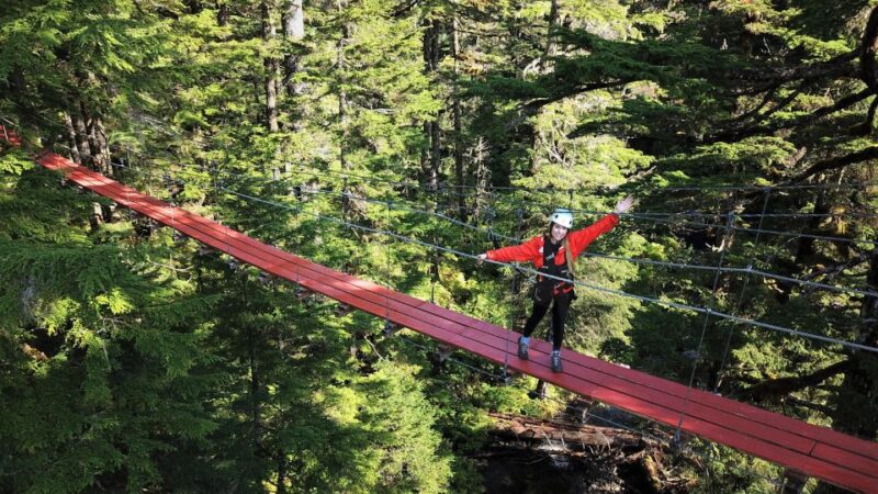 Juneau: Alpine Zipline Adventure - Zipline Details
