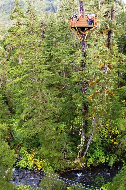 Juneau: Alpine Zipline Adventure - Safety and Participation Requirements