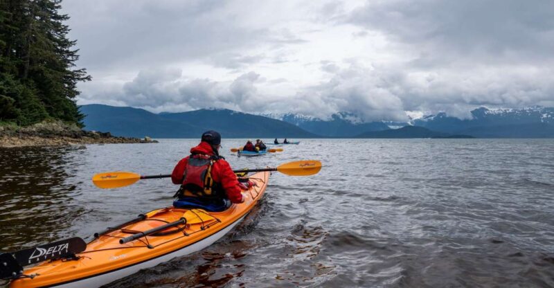 Juneau: Channel Islands Whale Watching Kayak Adventure - Wildlife and Highlights