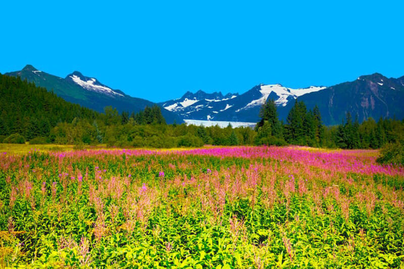 Juneau: City Highlights Bus Tour - Who Will Get the Most Out of This Tour?