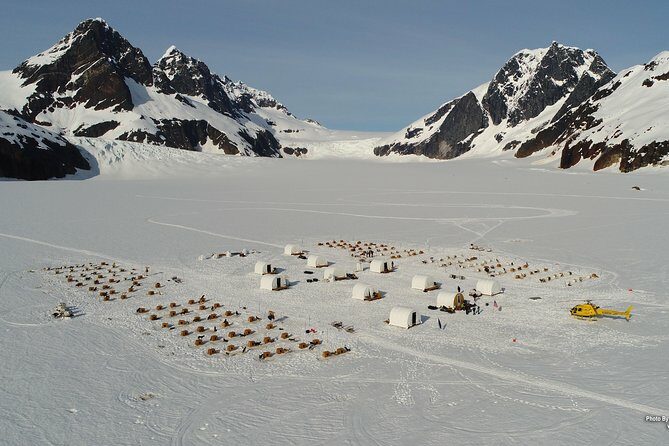 Juneau Helicopter and Dogsledding with Added Glacier Landing - Who Will Love This Tour?
