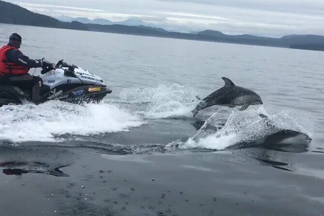 Juneau Jetski & Whale Adventure - Final Thoughts