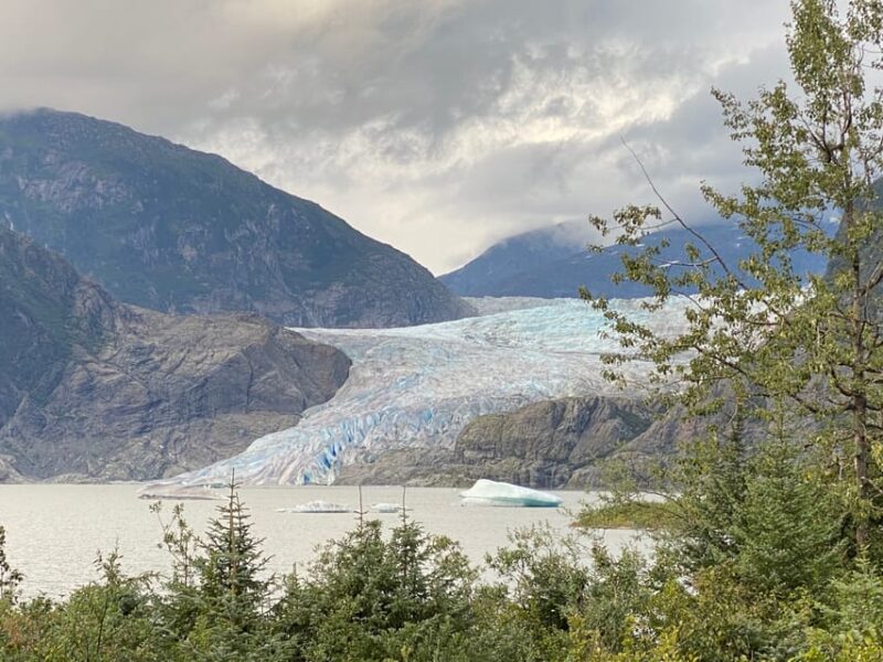 Juneau: Mendenhall Glacier and Whale Watching Tour - Tour Overview and Pricing