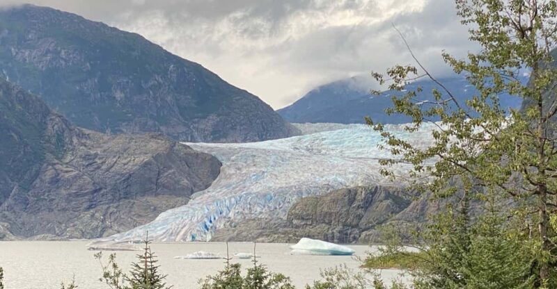 Juneau: Mendenhall Glacier and Whale Watching Tour - Itinerary