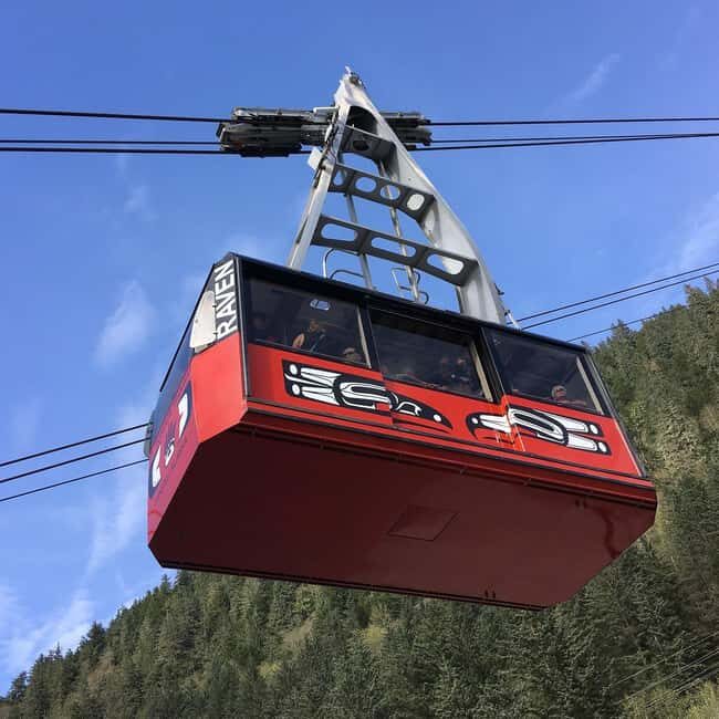Juneau: Mount Roberts Tram Ride with App and Map - FAQ: Quick Questions and Practical Answers
