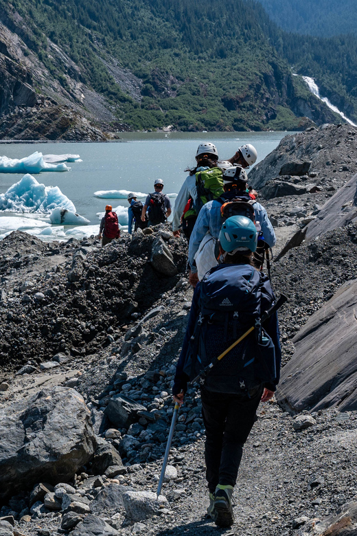 Juneau or Mendenhall Valley: Mendenhall Glacier Day Trip - Exploring the Tongass National Forest