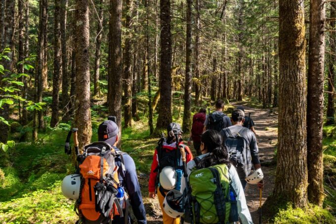 Juneau or Mendenhall Valley: Mendenhall Glacier Day Trip - Suitability for Travelers
