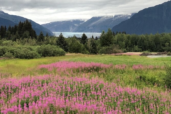 Juneau Private 3 Hour Scenic Road Trip - Review Highlights