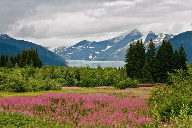 Juneau: Private Bike Tour with Glacier Views & Hatchery Stop - Practical Details and Value