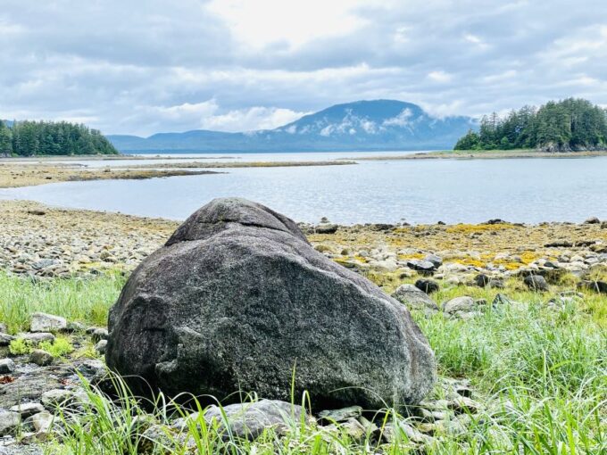 Juneau: Rainforest Photo Safari on a Segway - Customer Reviews