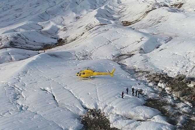 Juneau Shore Excursion: Helicopter Tour and Guided Icefield Walk - Highlights of the Experience