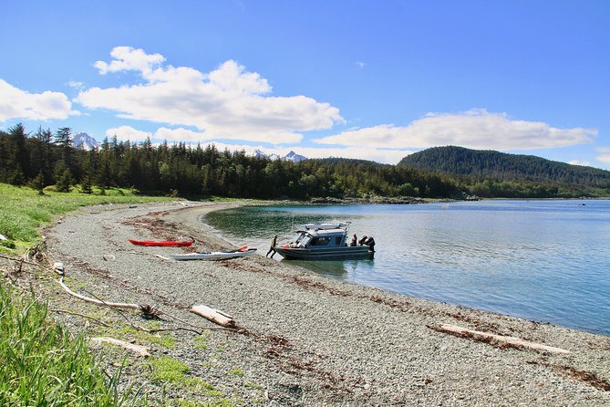Juneau Shore Excursion: Paddle With Whales! Kayak Adventure - Requirements and Restrictions