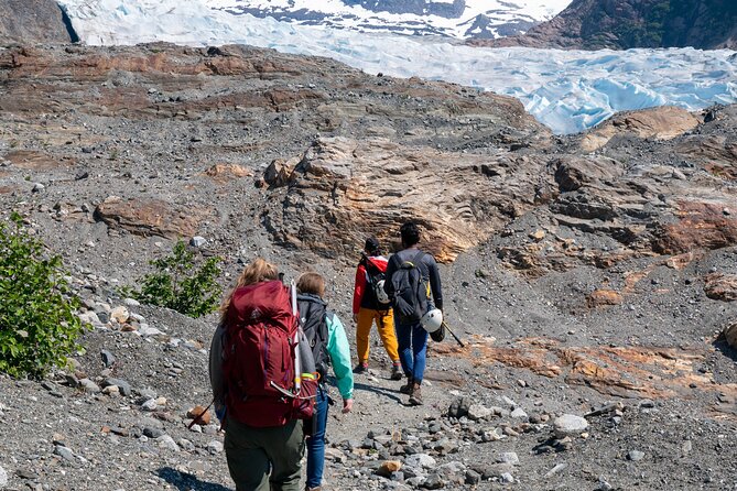 Juneau Shore Excursion: Private Mendenhall Glacier Guided Hike - Key Points