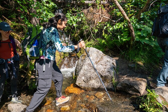 Juneau Shore Excursion: Private Mendenhall Glacier Guided Hike - Glacier Exploration and Conditions