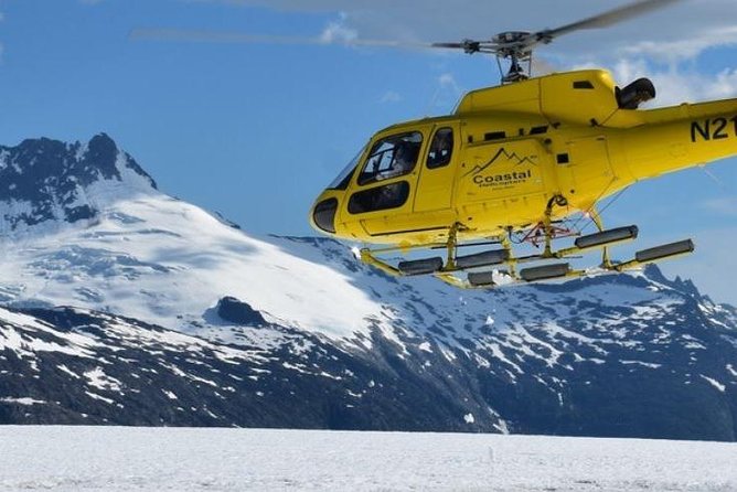 Juneau Shore Excursions: Helicopter Dogsledding Experience and Additional Glacier Landing - Guided Dog Sledding Tour