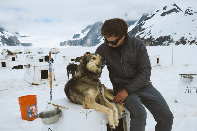 Juneau Shore Excursions: Helicopter Dogsledding Experience and Additional Glacier Landing - Glacier Walk Exploration