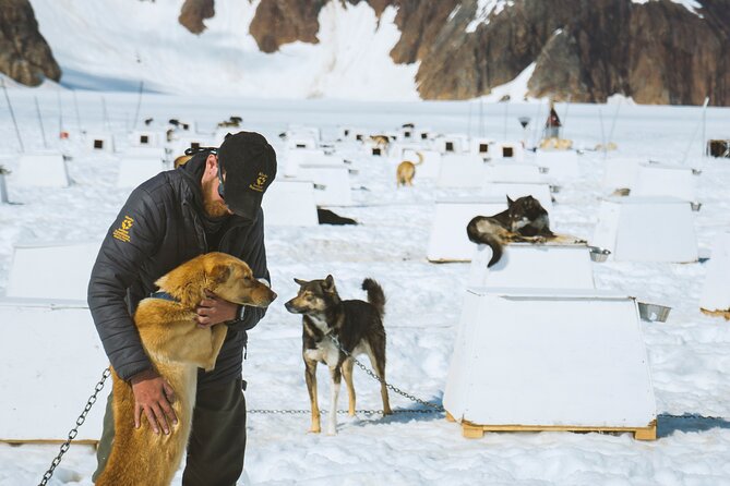 Juneau Shore Excursions: Helicopter Dogsledding Experience and Additional Glacier Landing - Included Gear and Amenities