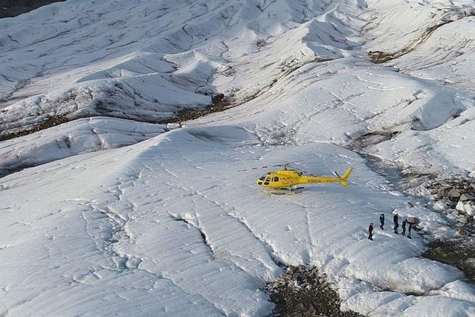 Juneau Shore Excursions: Helicopter Dogsledding Experience and Additional Glacier Landing - Pickup and Check-in Process