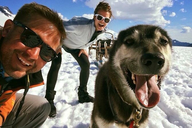 Juneau Shore Excursions: Juneau Helicopter Tour & Dogsledding Experience - Helicopter Flight Experience