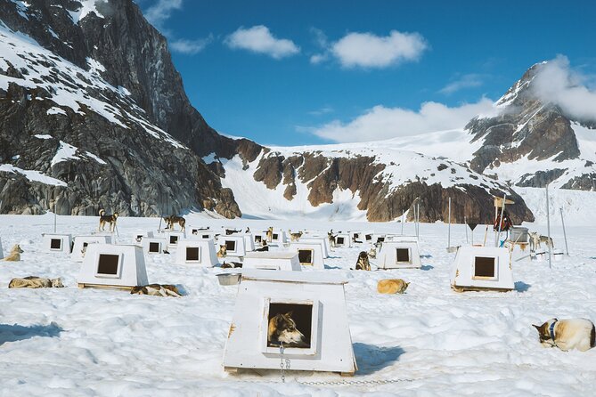 Juneau Shore Excursions: Juneau Helicopter Tour & Dogsledding Experience - Alaskan Wilderness Exploration