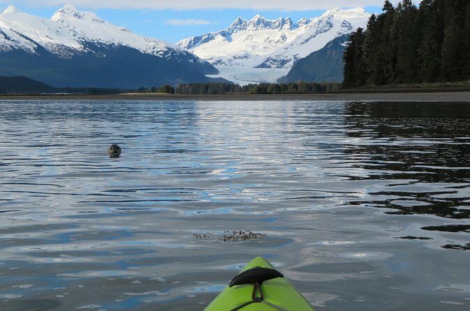 Juneau Small Group Sea Kayaking with Mendenhall Glacier Views - FAQ