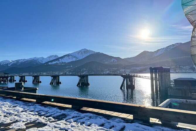 Juneau Top Sight Seeing Group Tour - Key Points