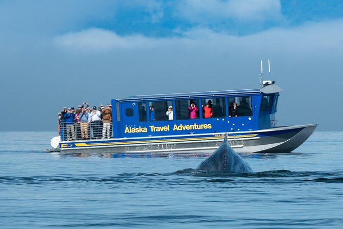 Juneau Whale Watching and Salmon Bake - Salmon Bake Highlights