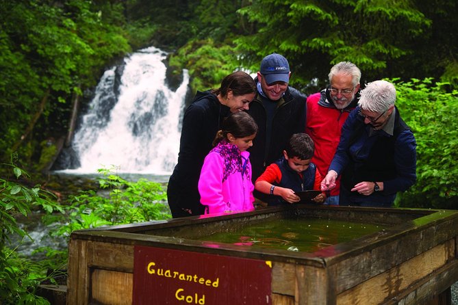 Juneau Whale Watching and Salmon Bake - Naturalist Guide Commentary