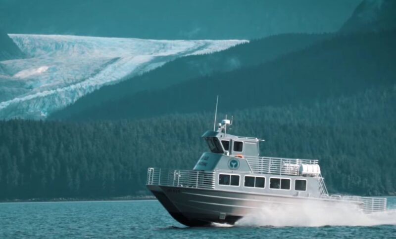 Juneau: Whale Watching and Wildlife Cruise With Local Guide - Activity Highlights