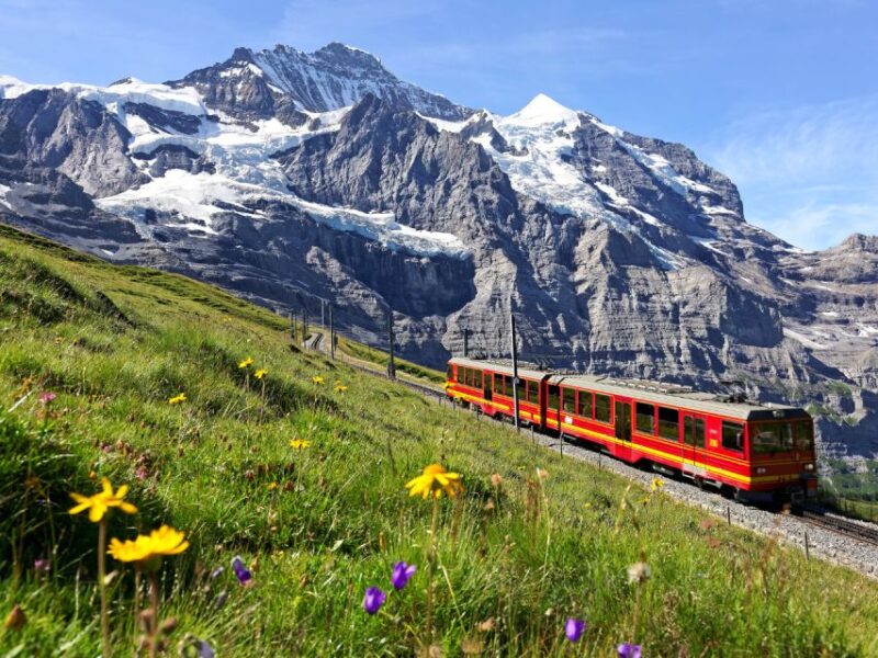 Jungfraujoch (Private Tour) - Jungfraujoch Train Journey